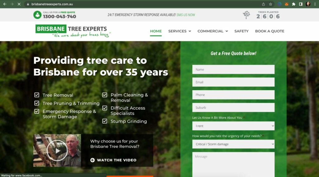 Brisbane Tree Experts Homepage