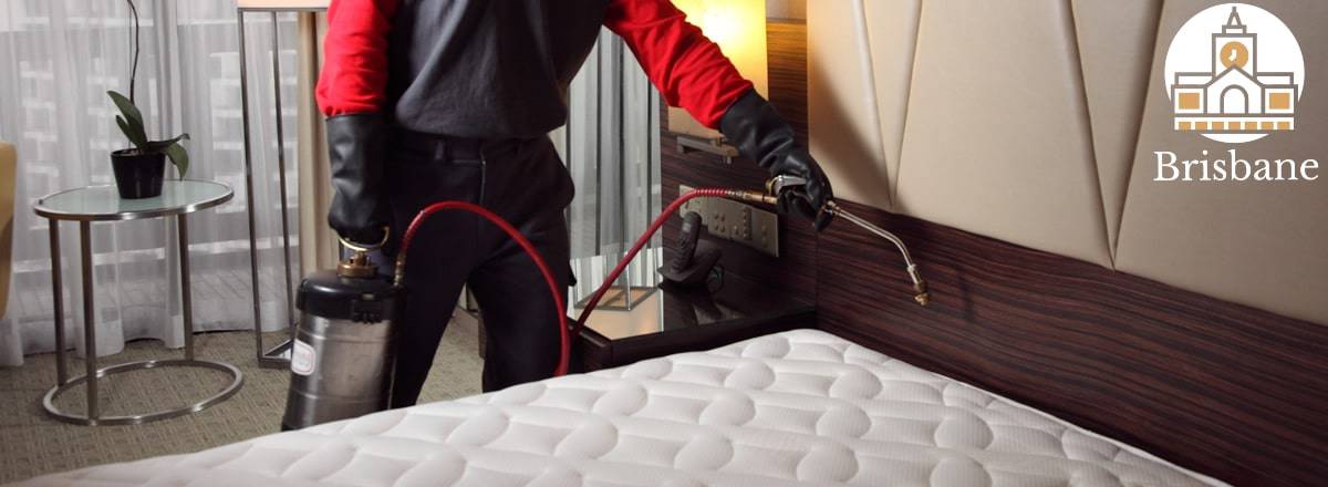 The 5 Best Bed Bug Control in Brisbane