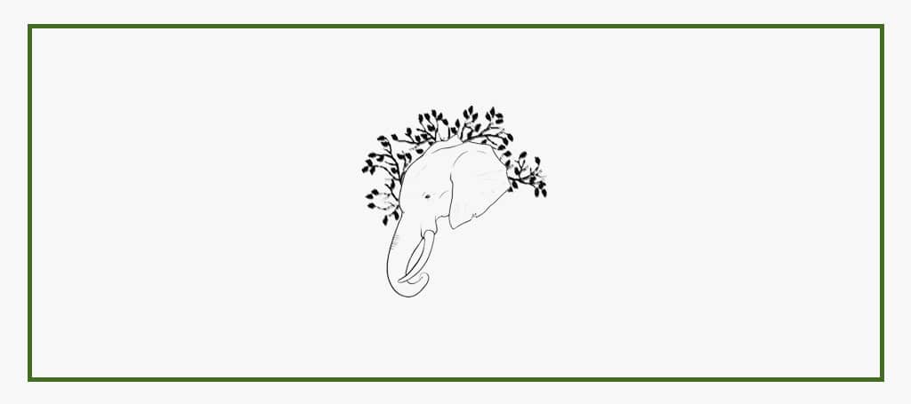 safari-garden-projects