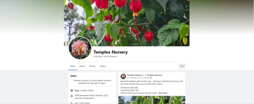 Templex Nursery Homepage
