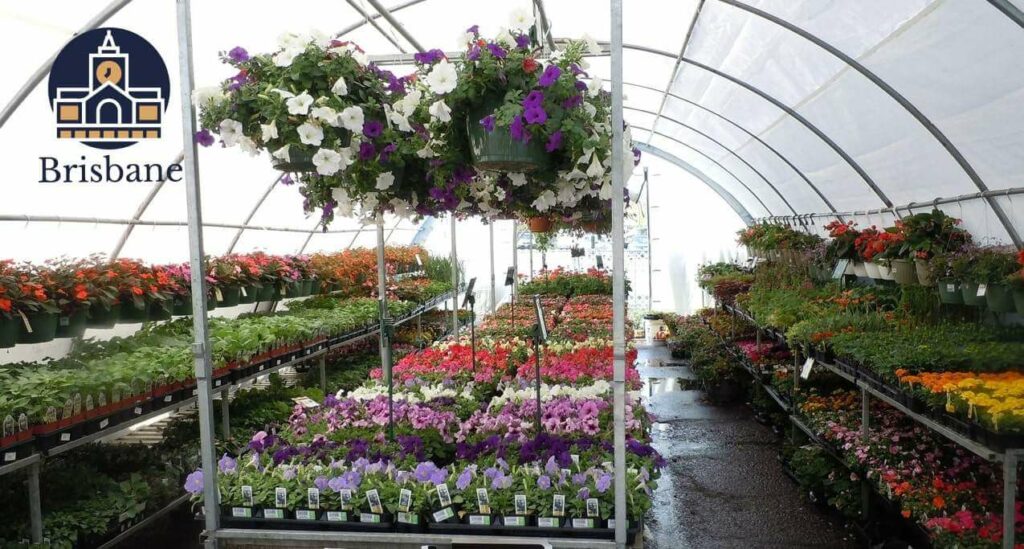 Top 5 Plant Nurseries in Brisbane