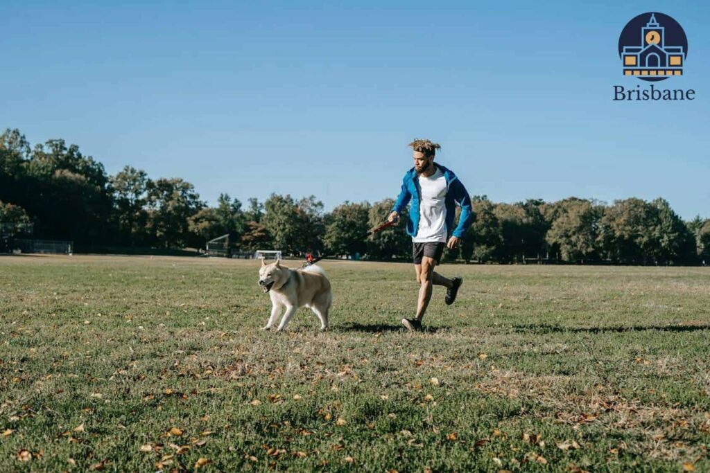 5 of the Best Dog Trainers in Brisbane