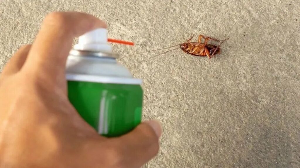 Apply Sprays and Gels