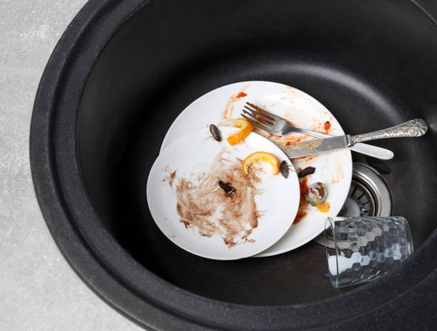 Cockroaches and dirty dishware in sink indoors, above view. Pest control