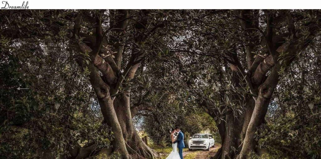Dreamlife Wedding Photography & Video Homepage