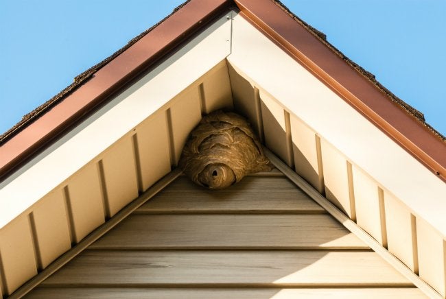 Eaves, Porch Ceilings, and Overhangs