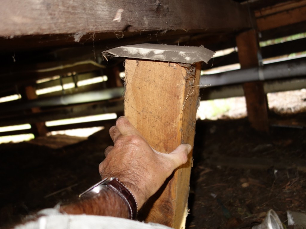 Remove the Old Stumps