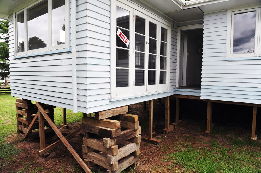 Timber Stumps