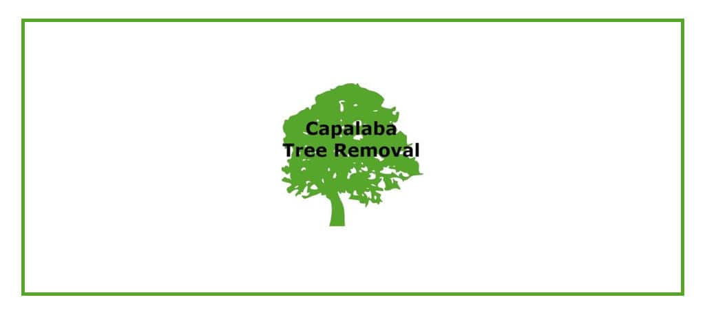 capalaba-tree-removal