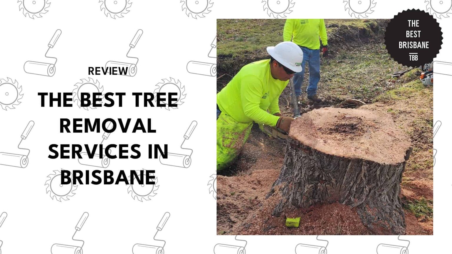 The Top 6 Tree Removal Services in Brisbane [2026 ]