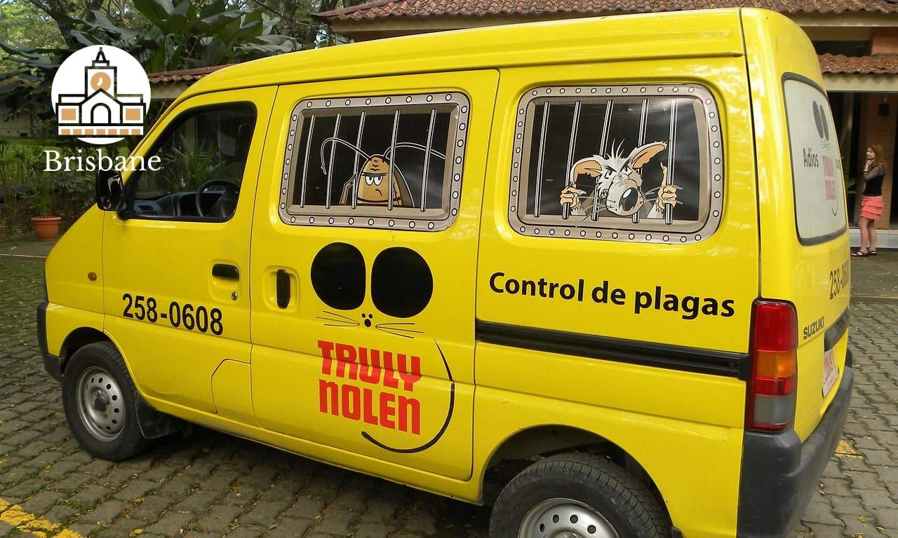 5 Best Rodent Control Services in Brisbane's Homepage
