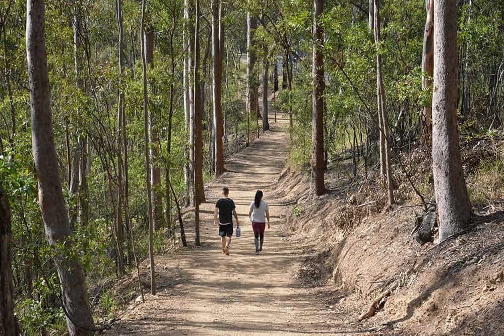 4. Hiking and Biking in Mount Coot-tha