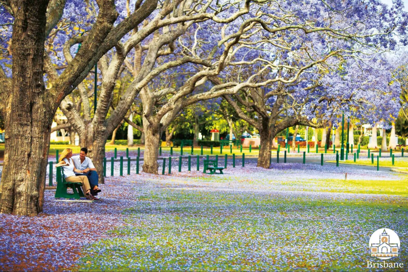 Top Must-Try Spring Activities in Brisbane [2025]