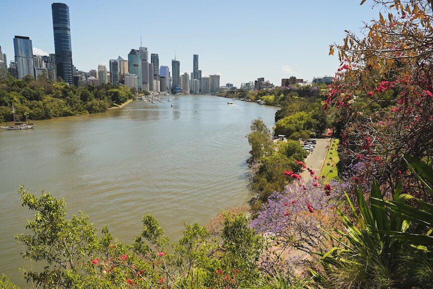 Image Source abc.net.au