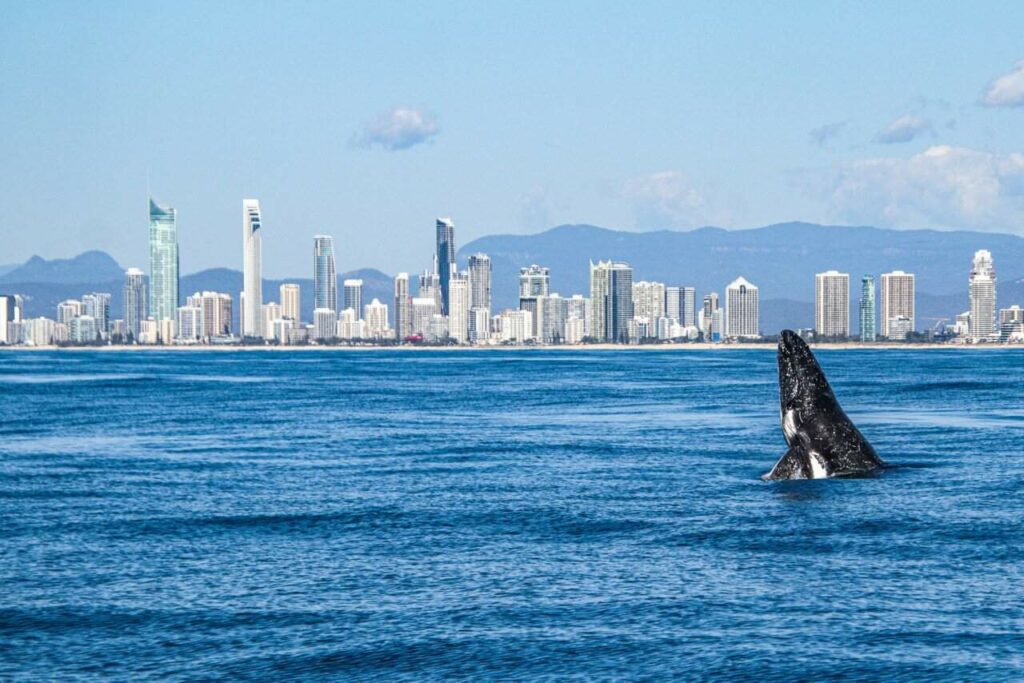 Image Source queensland.com (2)