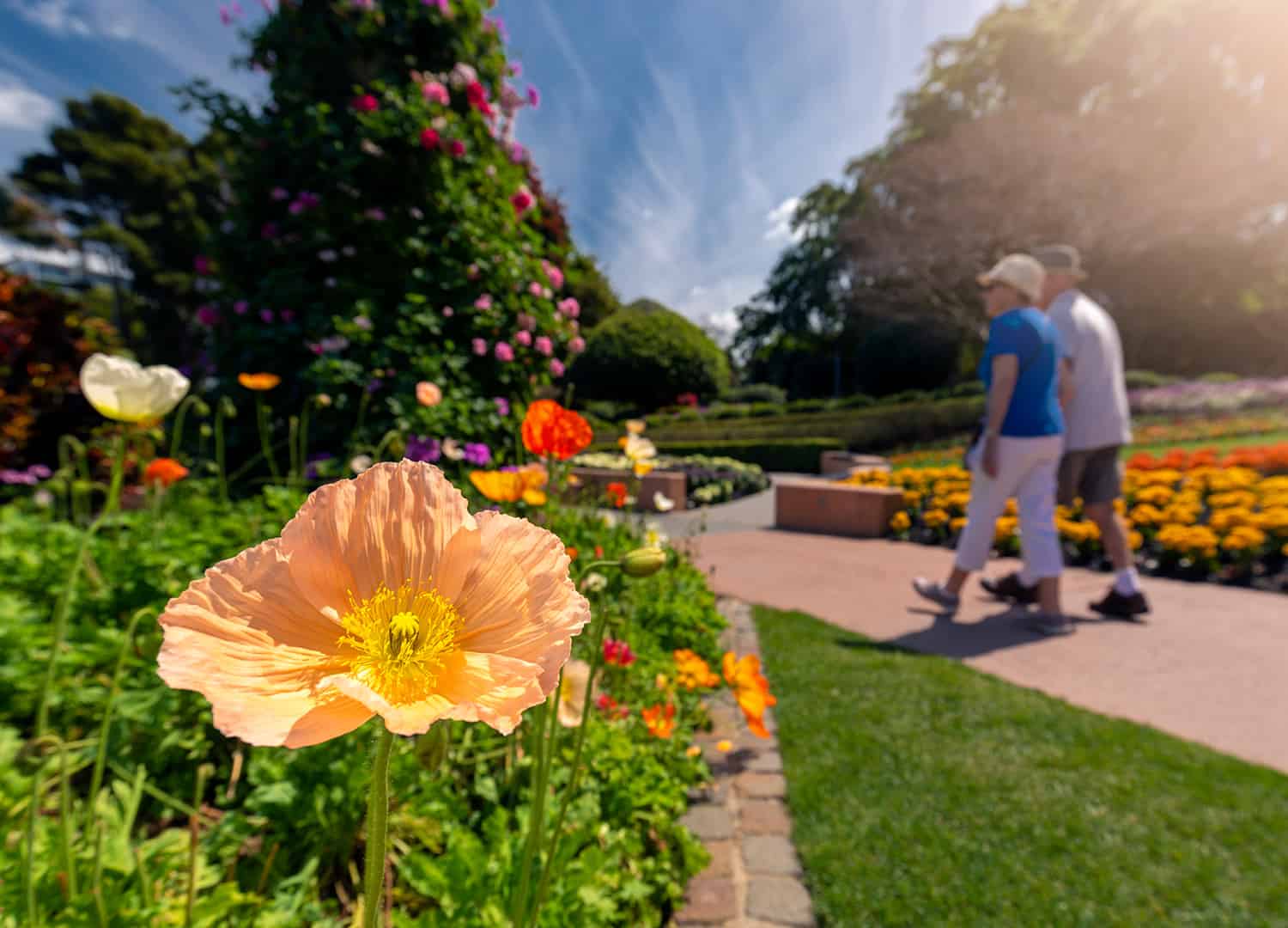Top Must-Try Spring Activities in Brisbane [2025]