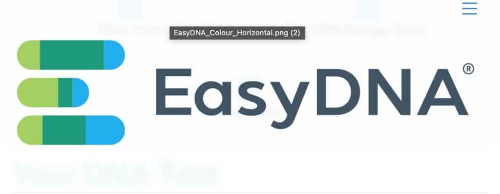 3. EasyDNA