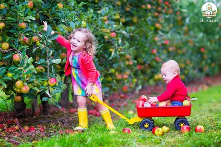 Top Farms That Offer Fruit Picking in Brisbane [2025]