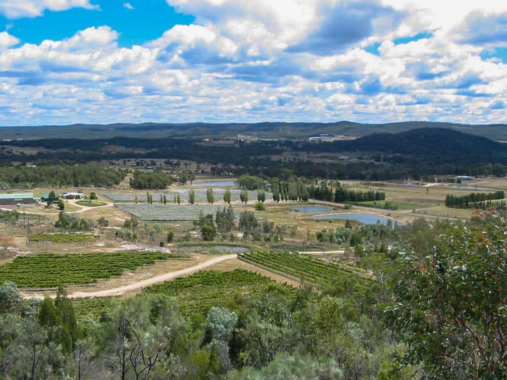 Epic Road Trips from Brisbane! [2025]