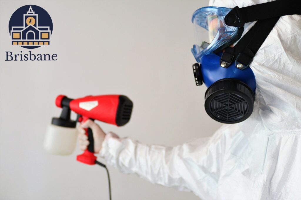 5 Best Mold Inspection Services in Brisbane
