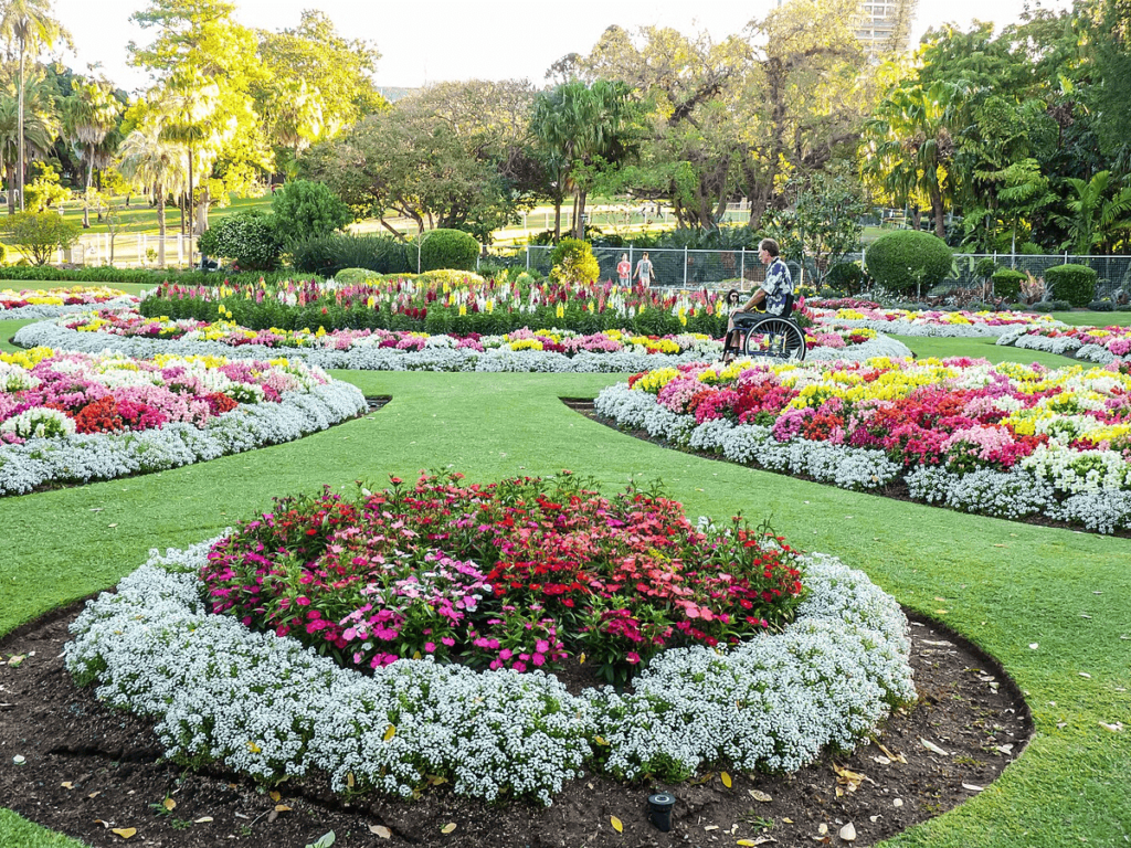 All You NEED to Know About Brisbane's City Botanic Gardens [2025]