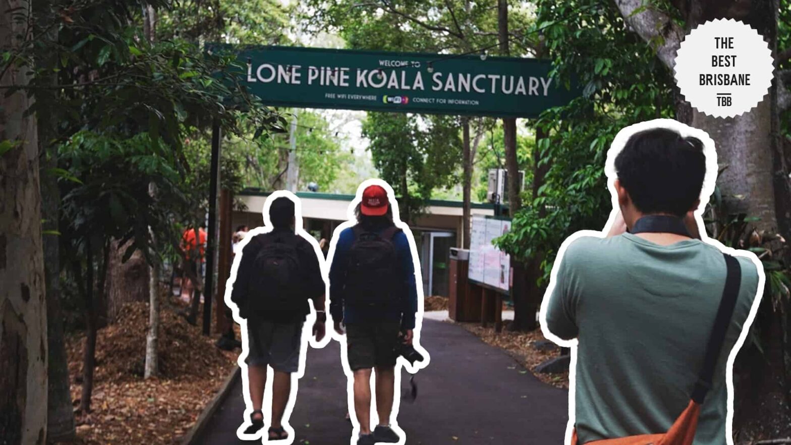 Hops and Hugs: Your Lone Pine Koala Sanctuary Travel Guide [2025]