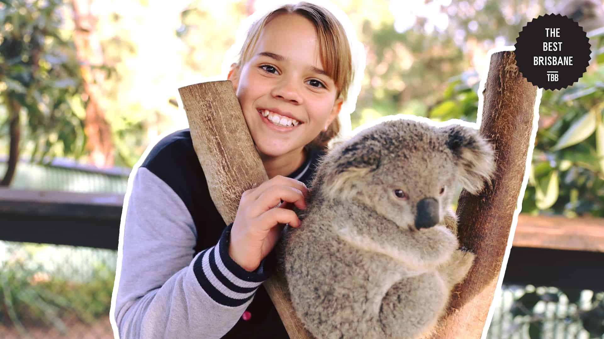 Hops and Hugs: Your Lone Pine Koala Sanctuary Travel Guide [2025]