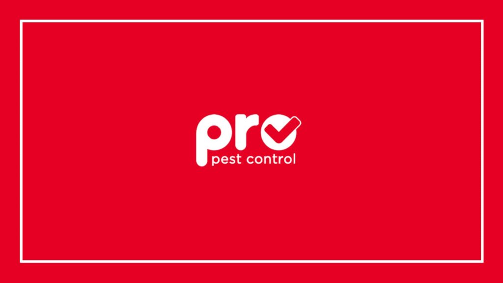 pro-pest-control-brisbane
