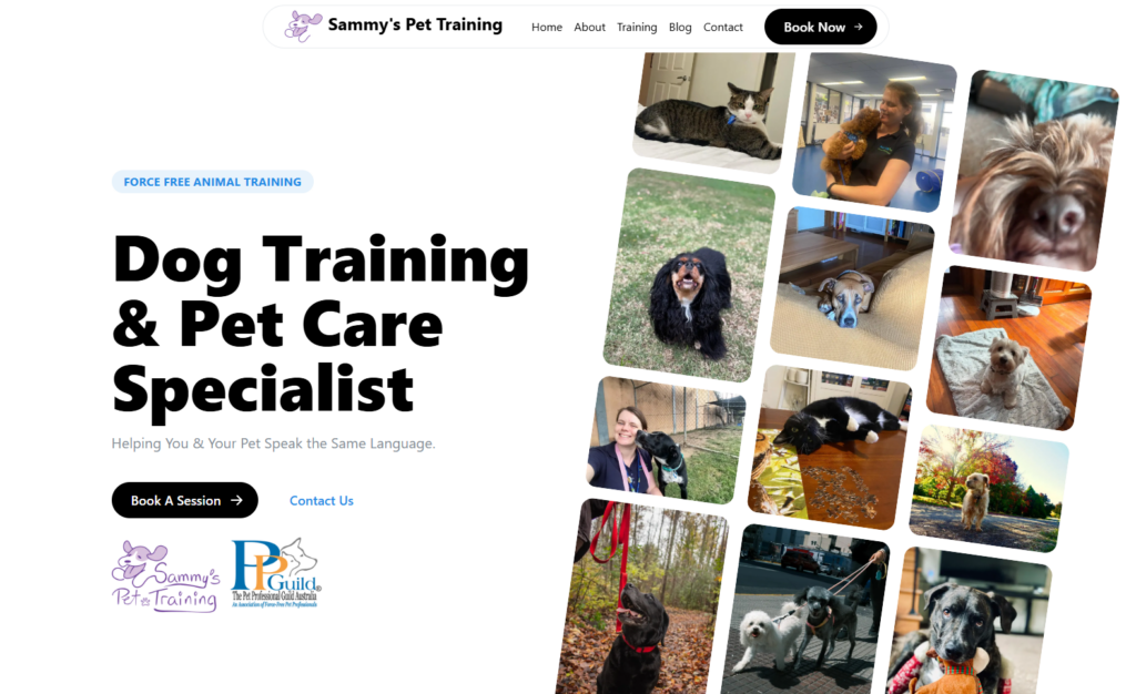sammys pet training homepage