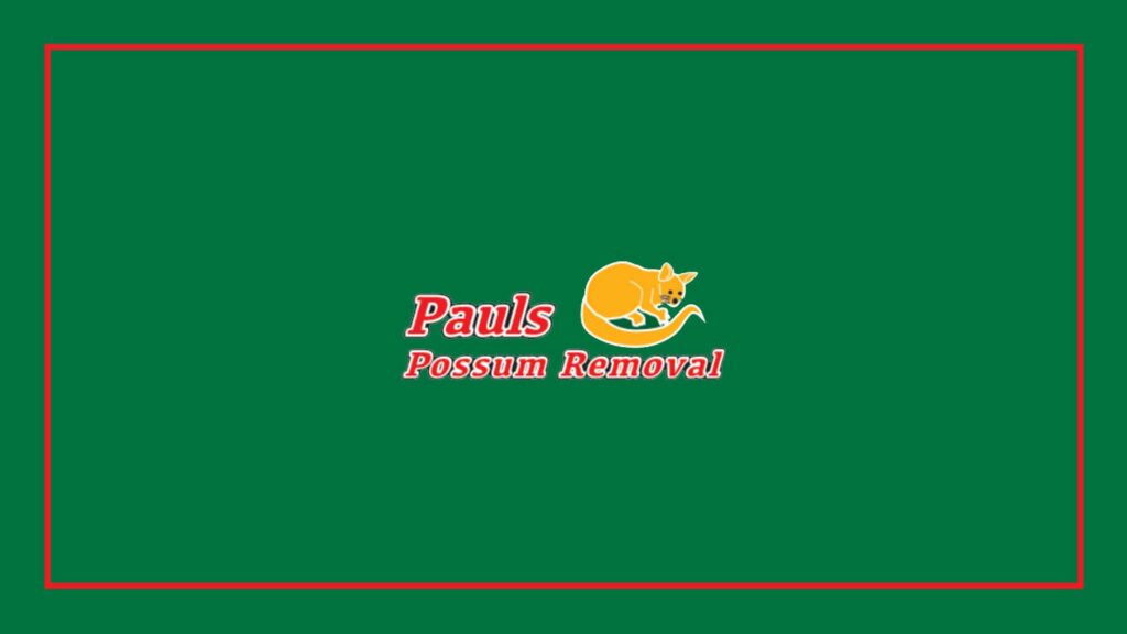 pauls-possum-removal