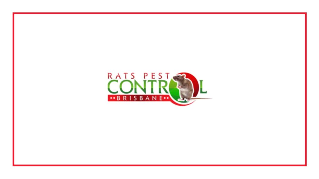 rat-pest-control-brisbane