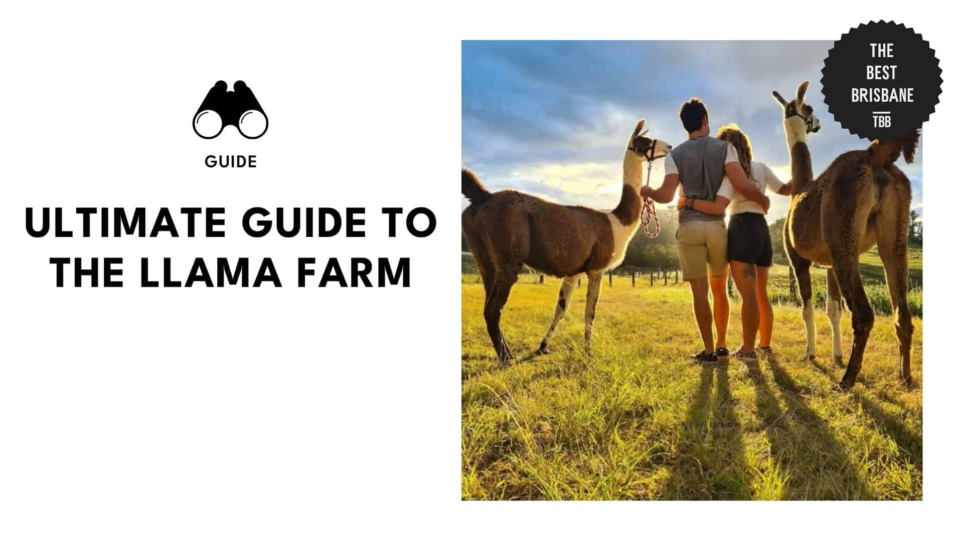 llama-farm