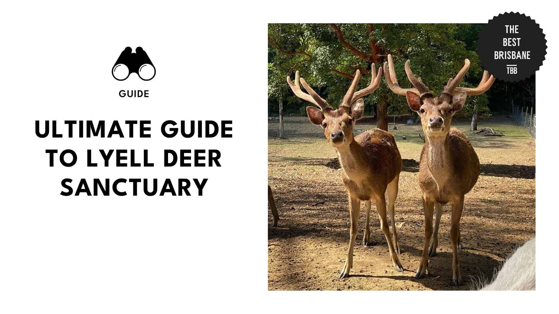 lyell-deer-sanctuary
