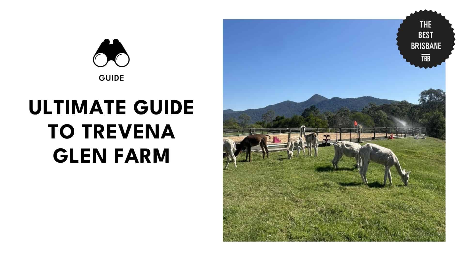 trevena-glen-farm-and-its-residents