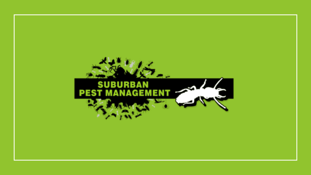 I found Jim’s Termite & Pest Control’s team to be highly responsive and patient in explaining the ant control process. They began with a detailed inspection, identifying entry points and nesting areas rather than just applying surface treatments.

What stood out was how methodical and thorough they were during the application. Their technician used low-toxic, pet-safe solutions and explained that the baiting system would continue to work even after they left.

It was clear that they prioritized safety and long-term prevention over short-term fixes that would require you to avail of their service again.

They maintained open communication throughout the service, checking back after a few days to confirm whether the ant activity had decreased. Even more, their technicians are punctual and are capable of operating across Brisbane’s suburbs, even on weekends.

Pricing is transparent, with most standard ant treatments ranging from $150 to $250.

Sadly, their popularity can lead to limited availability during peak pest seasons. Booking a slot around these times may require advance scheduling.

Impressive service

“Paul is fantastic to deal with. From our initial enquiry, Paul responded quickly and offered solutions for our situation. His communication was outstanding and turned up on time to carry out the work. We now have our situation resolved thanks to Paul and his expertise. I would strongly recommend his services to anyone!”

Shaun Leong, Google Review

Timely cleaning

“I was referred to Jim's termite & pest control through a friend after noticing a few roaches and mice activity around the house. I appreciated Paul's vast knowledge, communication and professionalism as he provided his services. He was very thorough with his inspection and pest control treatment. I have no hesitation in recommending Paul. He is not only informative, patient and approachable but he provides quality work to the highest standards in both pest and termite control. I would gladly contact him again for my next annual inspection. Thanks Paul!"

Chris Vo, Google Review