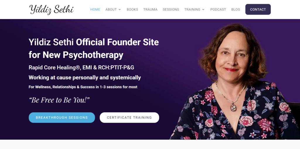 yildiz sethi homepage