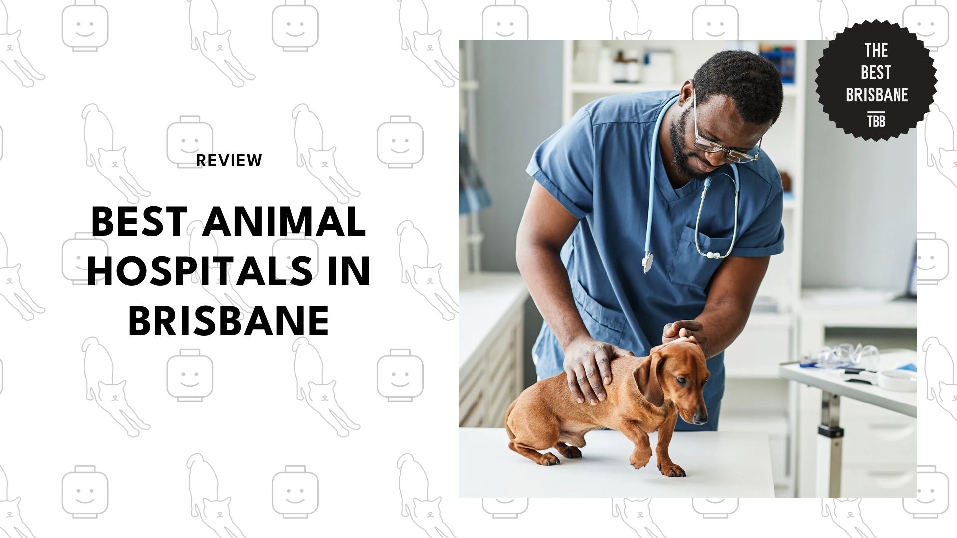 best-animal-hospitals-brisbane-banner
