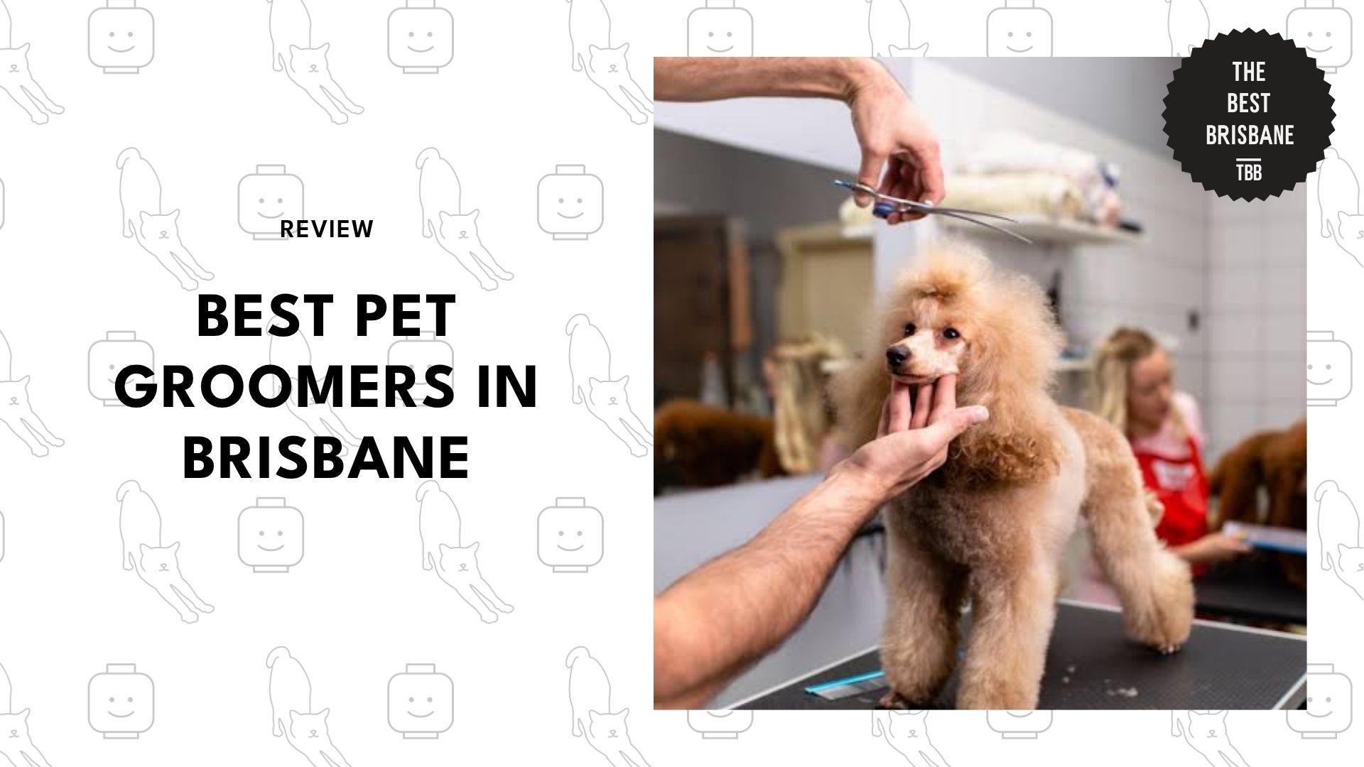 best-pet-grooming-brisbane-banner
