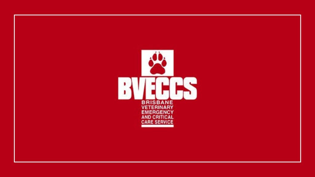 brisbane-veterinary-emergency-critical-care-service-bveccs-logo