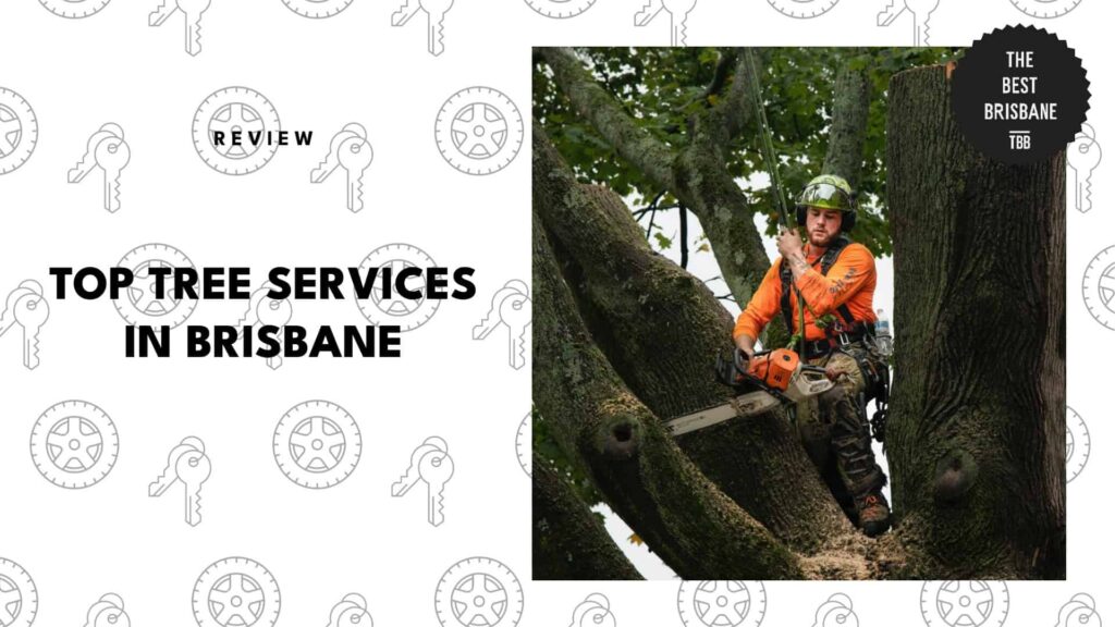 best-tree-service-brisbane