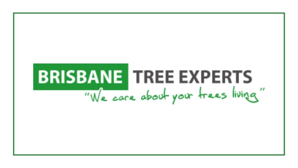 brisbane-tree-experts